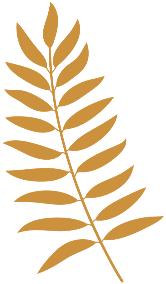 feuille3