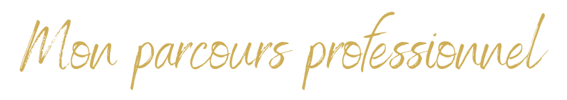 mon parcours professionnel